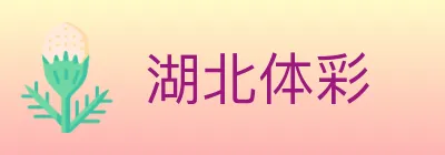 湖北体彩 logo